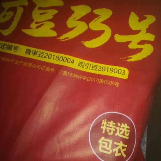 尉氏县黄豆种子 黄豆种，高产新品种，600斤以～1000斤