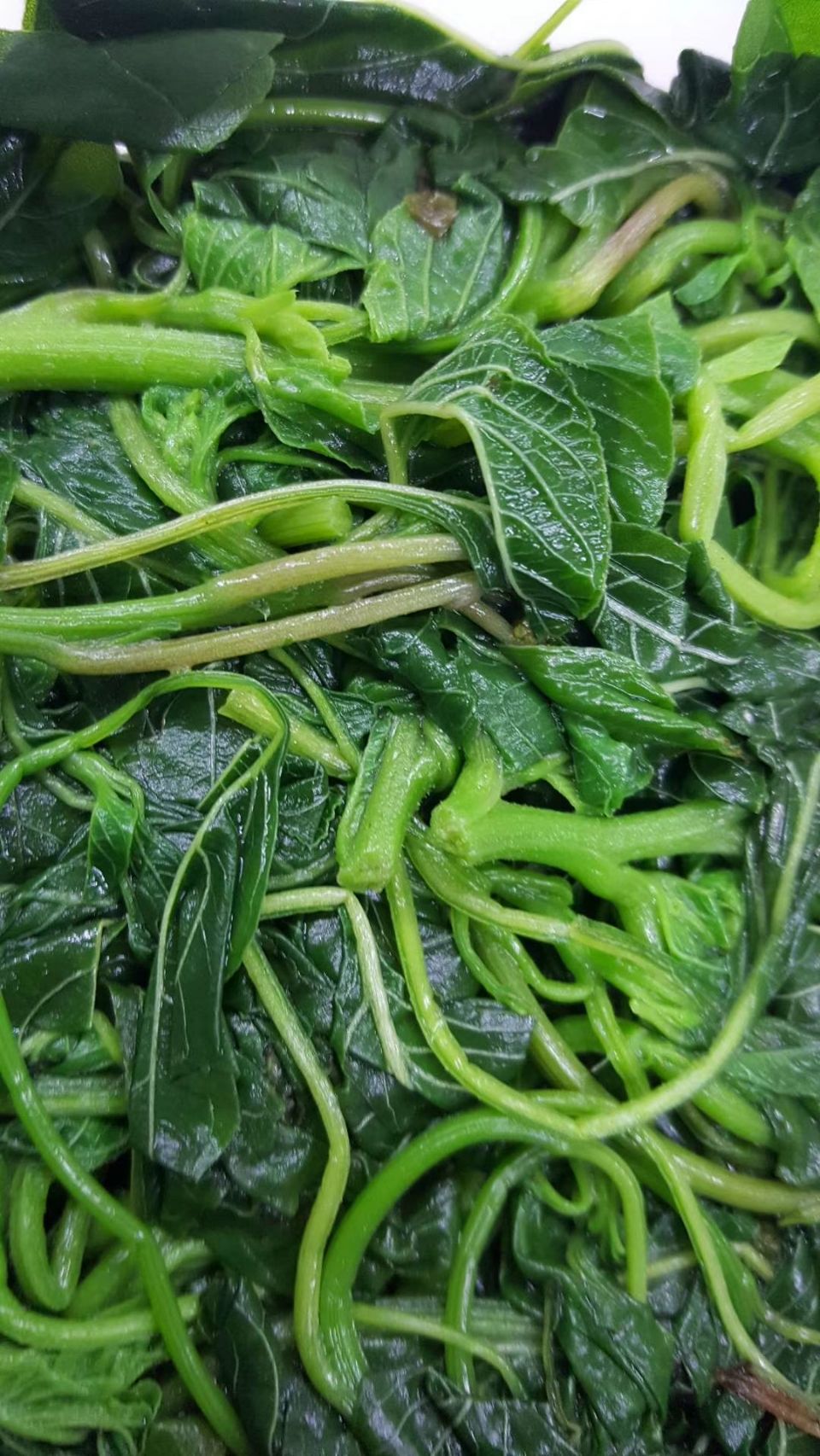速冻苋菜