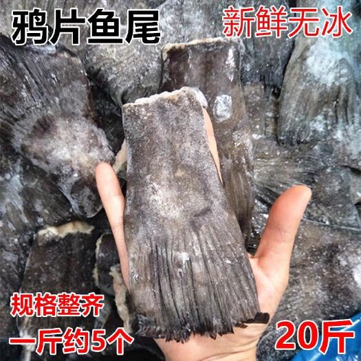 南京冰冻鸦片鱼 20斤新鲜冷冻鲽鱼鱼尾火锅烧烤蝶鱼尾比目鱼鲽鱼鱼尾酒店食