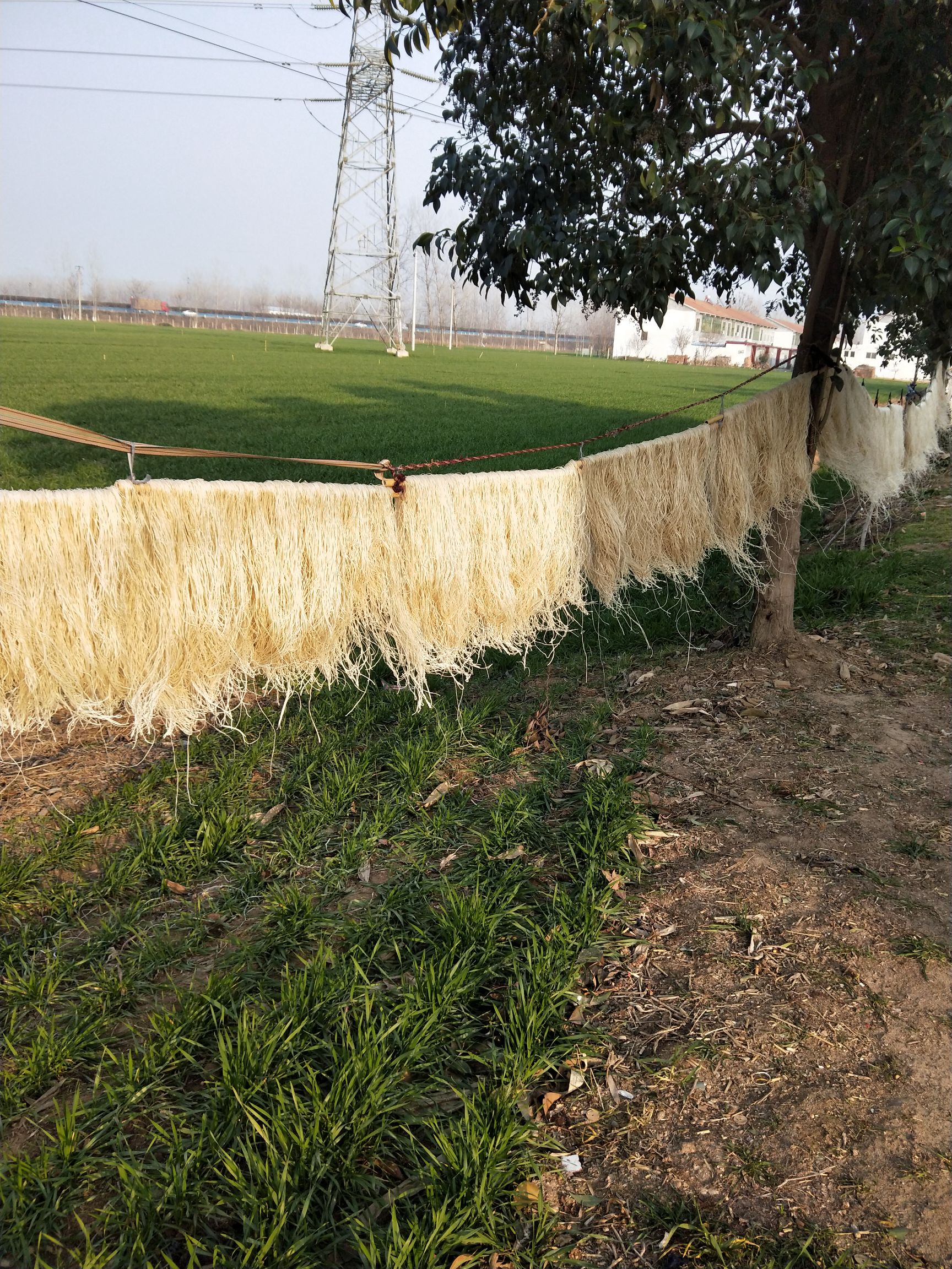  农家自己种植，自己下粉，纯绿色食品，一条龙生产线，吃假包换。