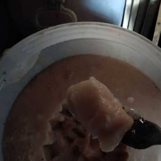 宜阳县意蜂蜂蜜  结晶蜂蜜42度纯愿蜂蜜愿色愿味不做任何加工自产自销质量保证