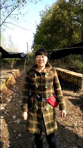 槐花蜜  自产自销纯正蜂蜜，保证质量