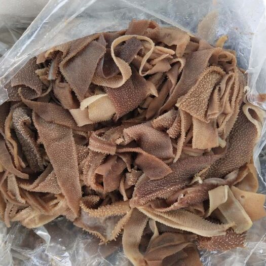 郑州 毛肚小叶片