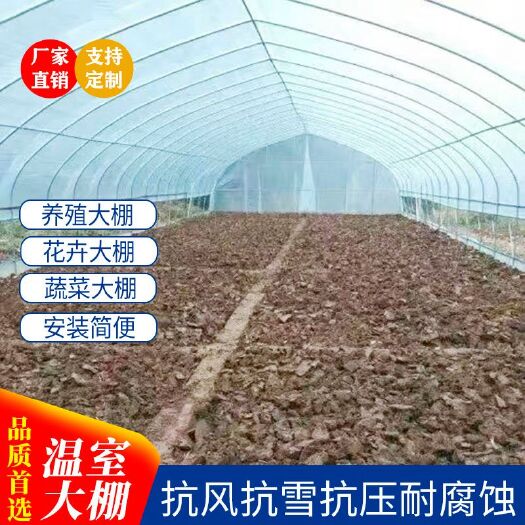 天津连体温室大棚 大棚骨架蔬菜大棚养殖大棚花卉大棚简易连体连栋椭圆管大棚