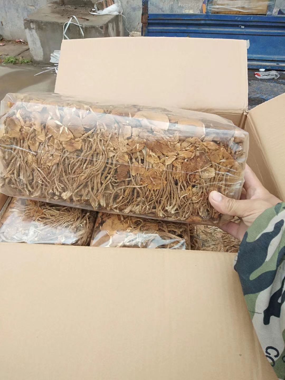 2斤装茶树菇，一件9包，干度好，