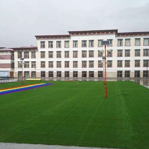 安平县现货供应高档幼儿园草坪，宠物乐园草坪，体育场草坪，屋顶绿化草