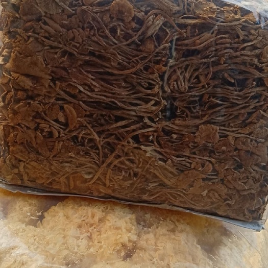郑州 10斤箱装茶树菇，干度好，没有防腐剂