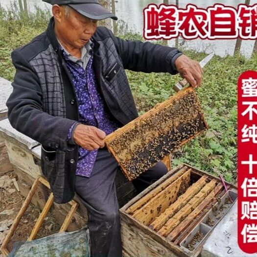 衡阳县 土蜂蜜农家自产野生蜂蜜纯正天然深山成熟原蜜1000g百花蜜