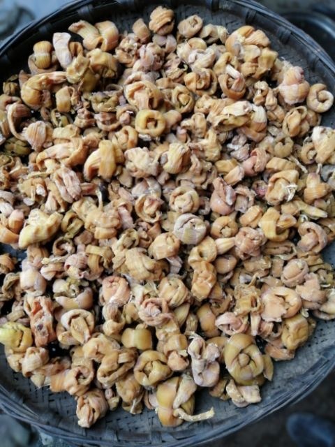 鎮(zhèn)雄縣冬筍 來(lái)自大山深處，筍干
