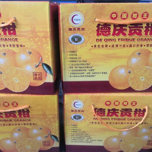 怀集县皇帝柑 正在黄帝柑