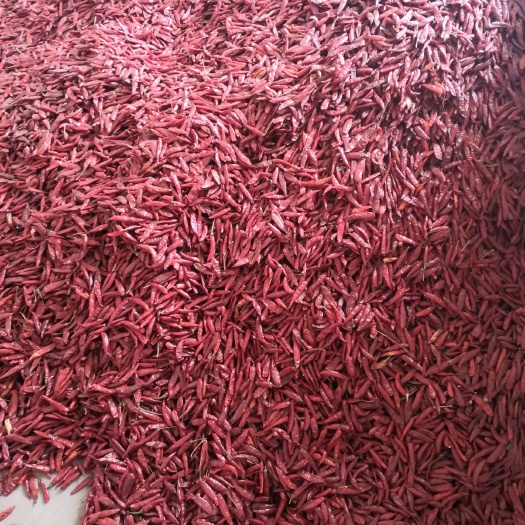 临汾 三樱干辣椒