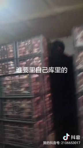 澄城县高原红苹果 高原红富士