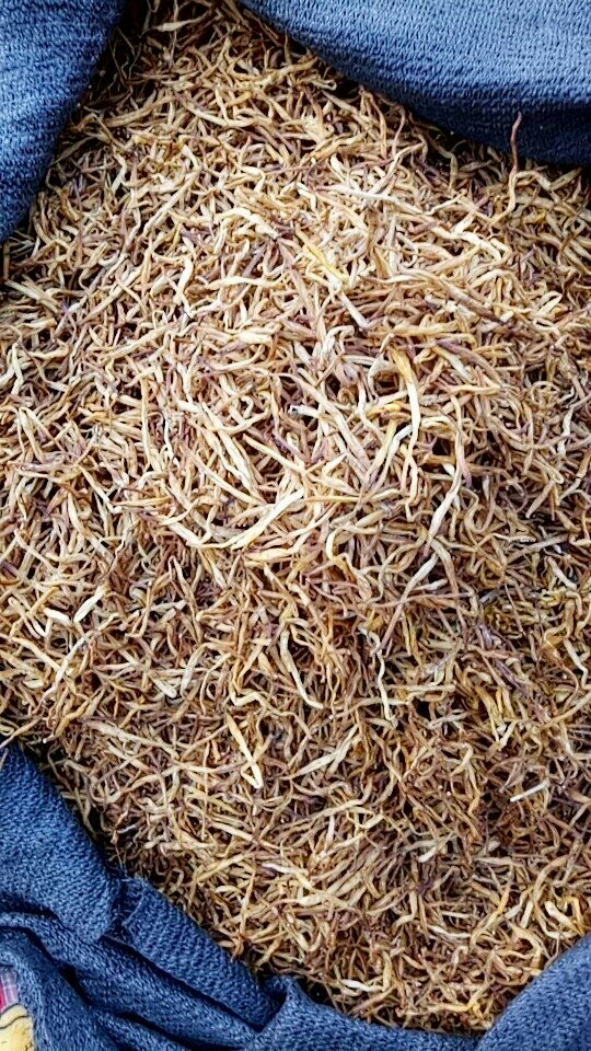 祁东黄花菜 一级 袋装