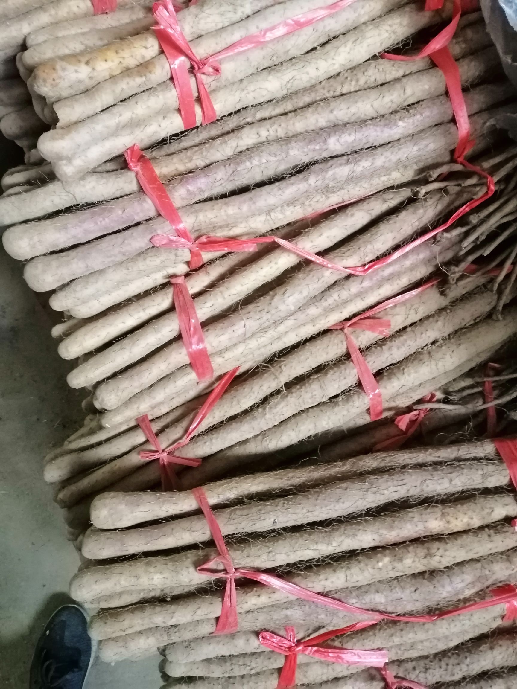 温县特产铁棍山药，四大怀药之乡，国家保护地区，口感好，营养好