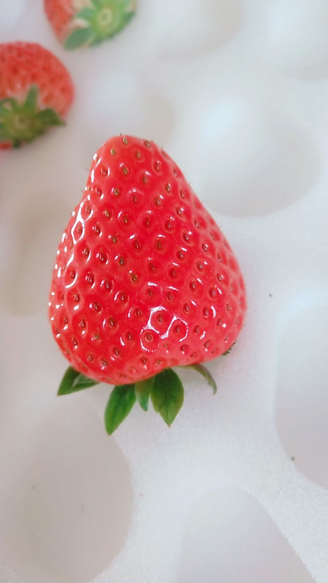 江苏南通红颜巧克力草莓