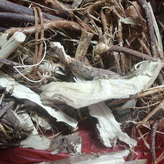 兴宁市 正宗五指毛桃。量大支持现在参观或者视频