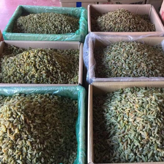 乌鲁木齐新疆绿葡萄干 统货