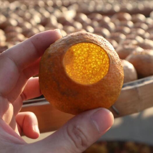 柑普茶  源产地2022新会特产陈皮天马二红大红果壳柑壳柑盏