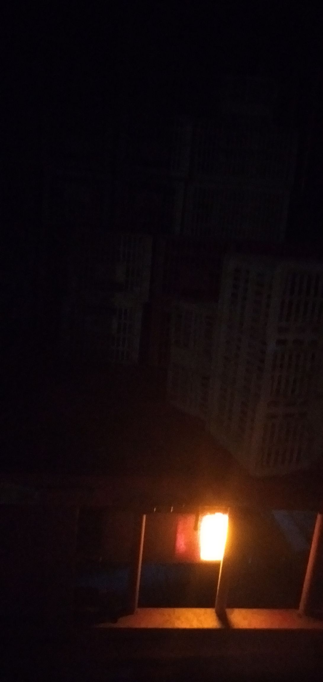 青皮鸭蛋  自己鸭场几万只金定鸭，质量保证，以客户要求为上