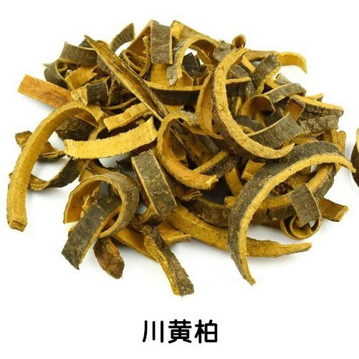 亳州川黄柏   黄柏 各种规格  可打粉 批发