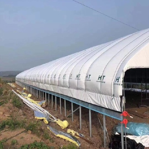 怀远县 新型温室养殖大棚，冬暖夏凉，抗风抗雪。