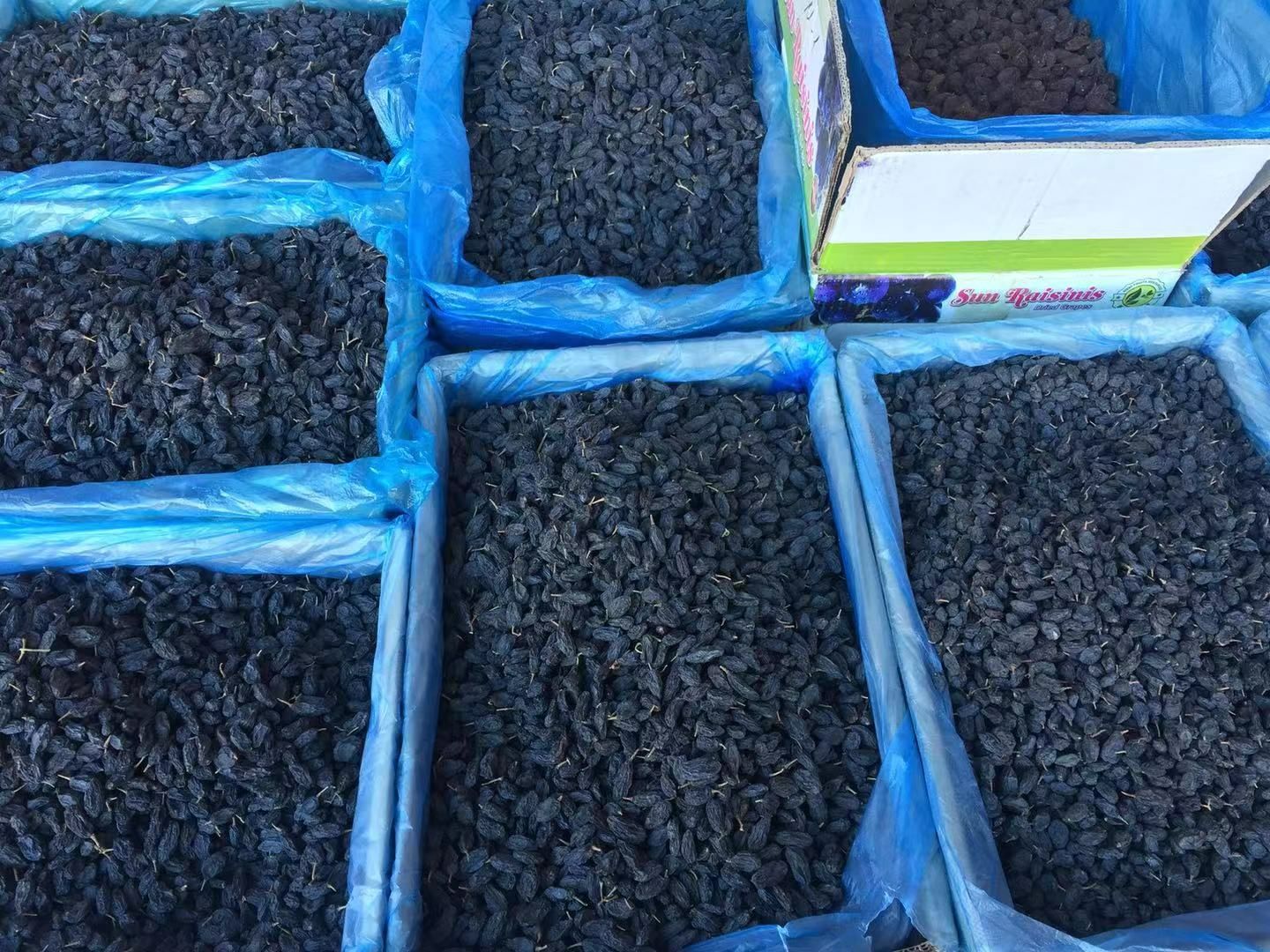 黑葡萄干 统货