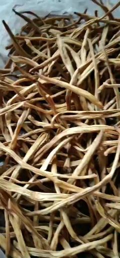 大荔县 大荔无硫黄花菜