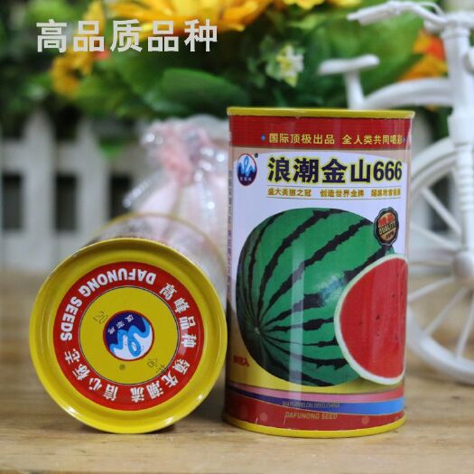 樟树市金山666特大西瓜种子早中熟特抗病红瓤耐重茬耐低温皮薄抗裂