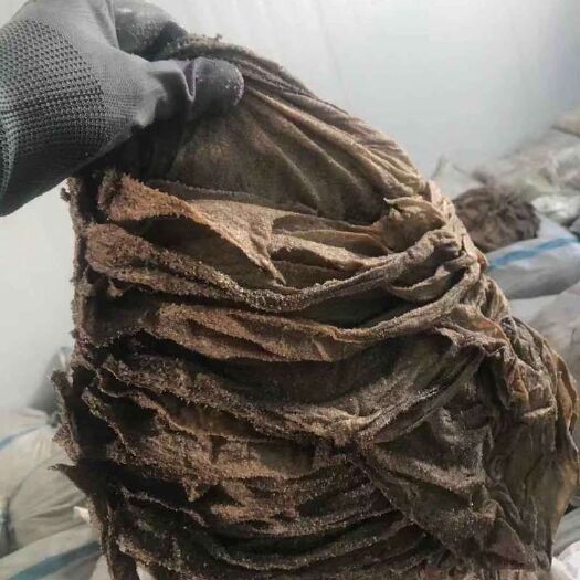 长沙 牛百叶