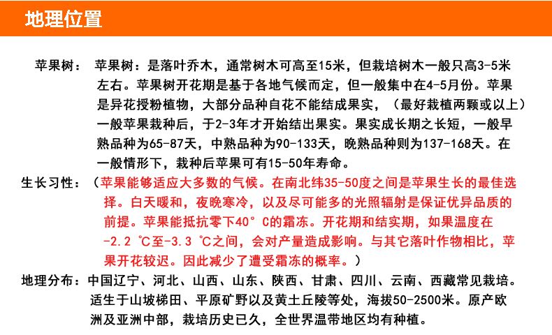 嘎啦苹果树苗适合南北方种植 量大优惠 包邮 自产自销