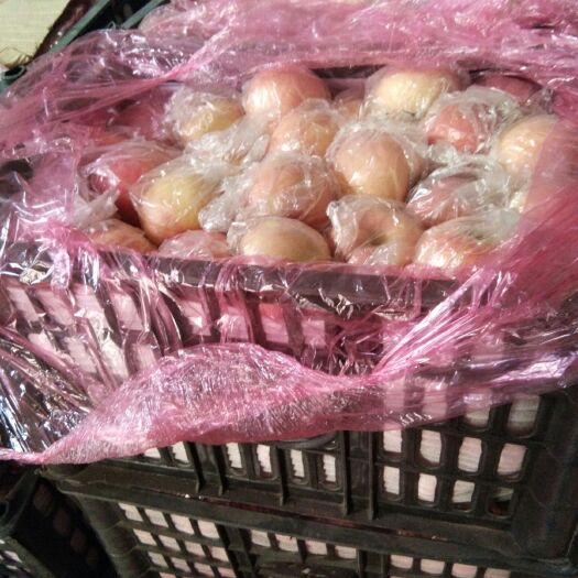 万荣县 冰糖心红富士苹果