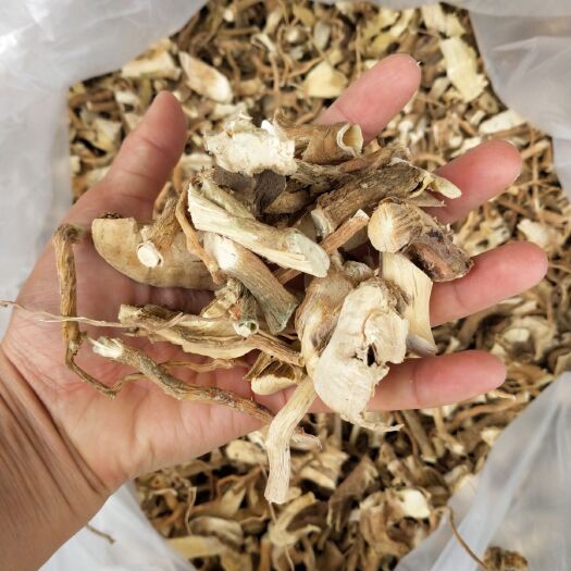 连南县 黄花倒水莲干(观音串)