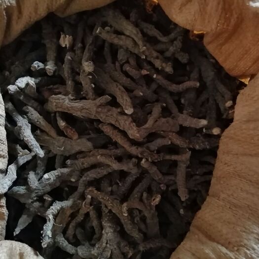 郯城县水菖蒲  山东产地一手，货源，常年供货，欢迎你