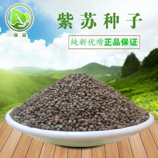 紫苏种子 双面紫苏 单面紫苏 当年新采 包发芽