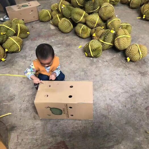 西昌市泰国金枕榴莲 价格质量都是上品，