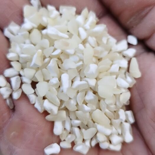 普通白玉米糁，白玉米干粒，白笨玉米碴