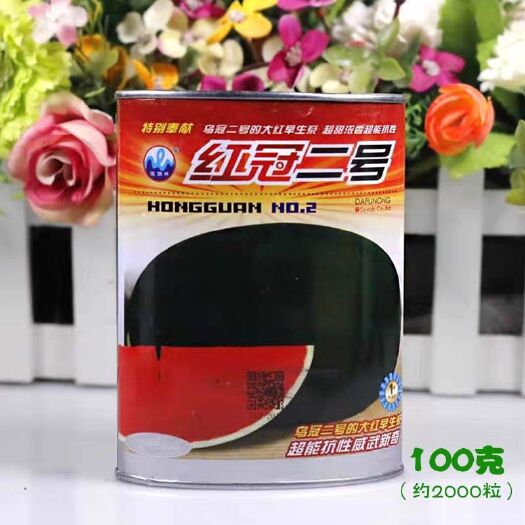 樟树市 红冠二号杂交西瓜种子黑皮大果抗病耐重茬大红瓤高产高糖