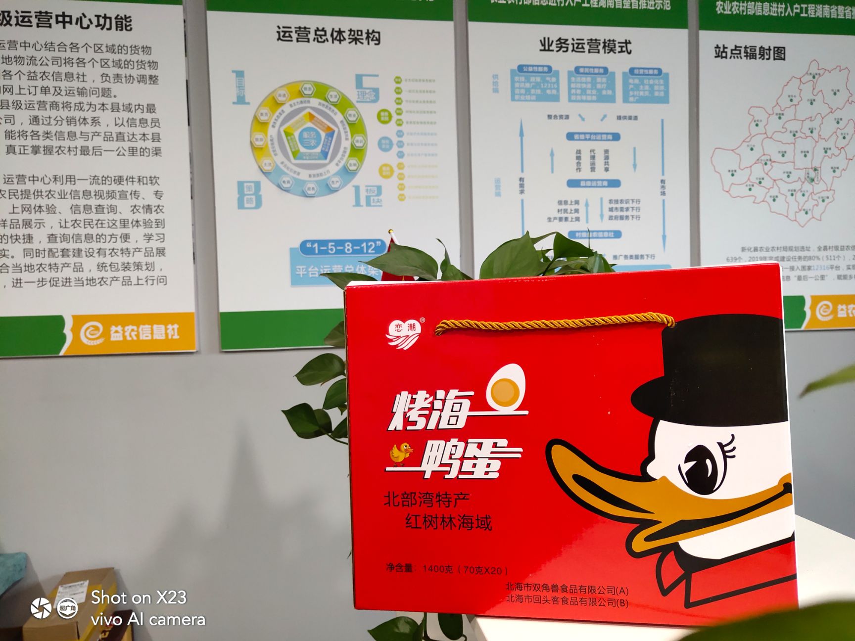  【红树林】70－80克烤海鸭蛋20枚礼盒包邮