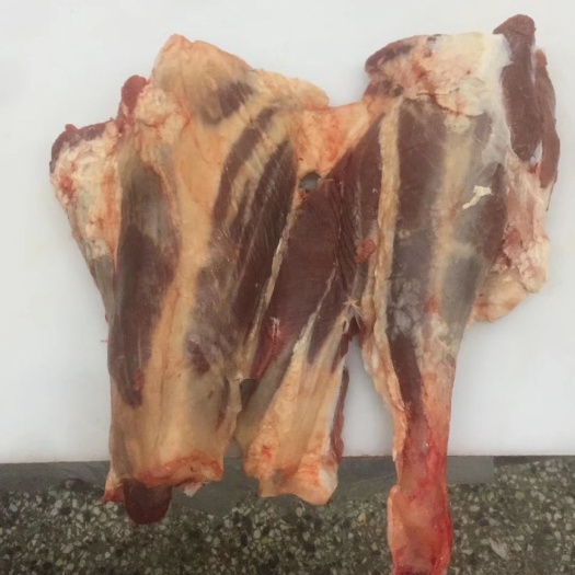 阳信县牛腱子肉  国产纯干，牛腱。厂家直销。