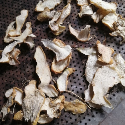 大竹县 黄精片子，生切片