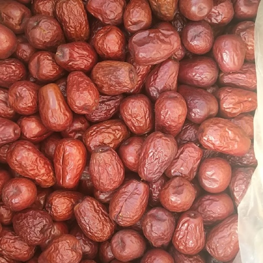 灵寿县 红枣