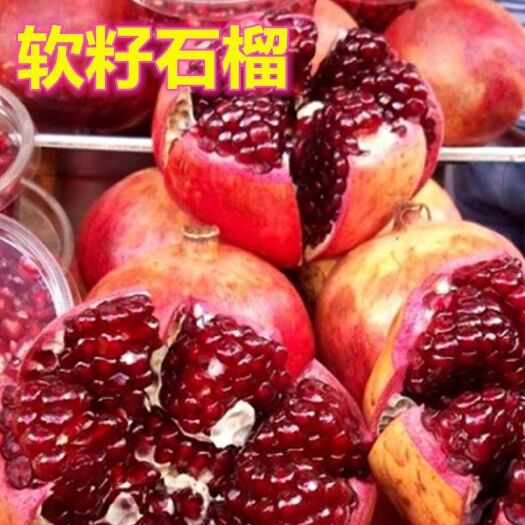 平邑县 突尼斯软籽石榴苗盆栽地栽特大石榴树苗南北方种植当年结果