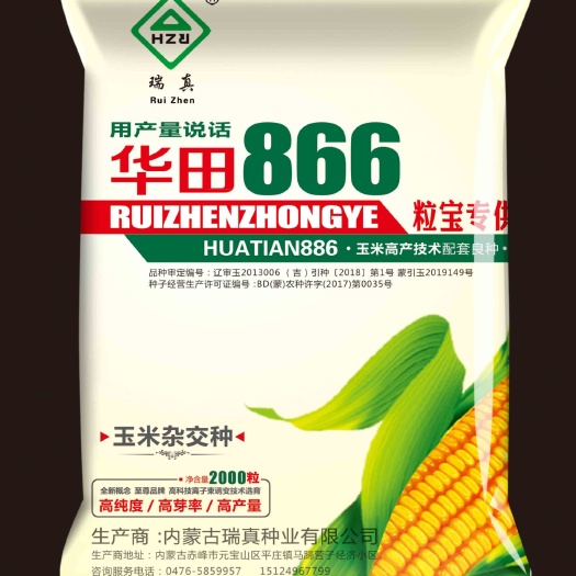赤峰 玉米种子厂家直销华田866
