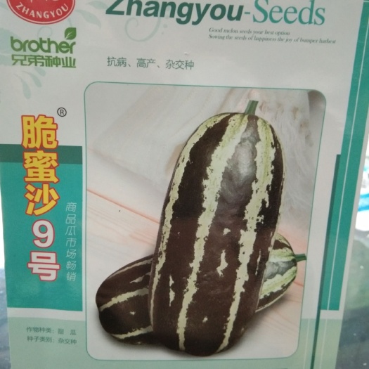 夏邑县 脆蜜沙9号甜瓜种子 超越博洋上一代品种