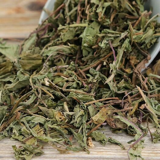利辛县批发蒲公英茶中药材蒲公英根泡茶干货优质蒲公英统货