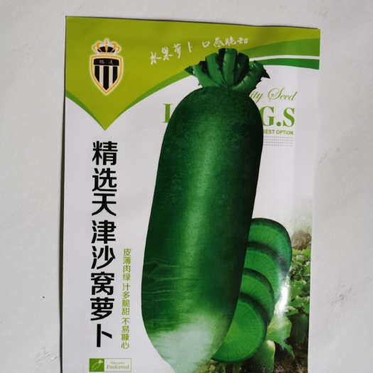 沙窝萝卜种子  精选天津沙窝萝卜 水果萝卜 口感好 家庭菜园基地蔬菜种子萝卜