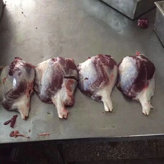 南京猪肉类  猪肉 龟腱 50斤