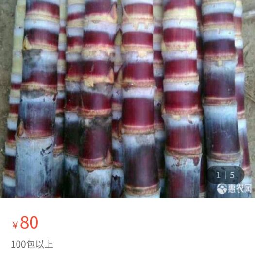 博白县甘蔗种子 柑蔗种