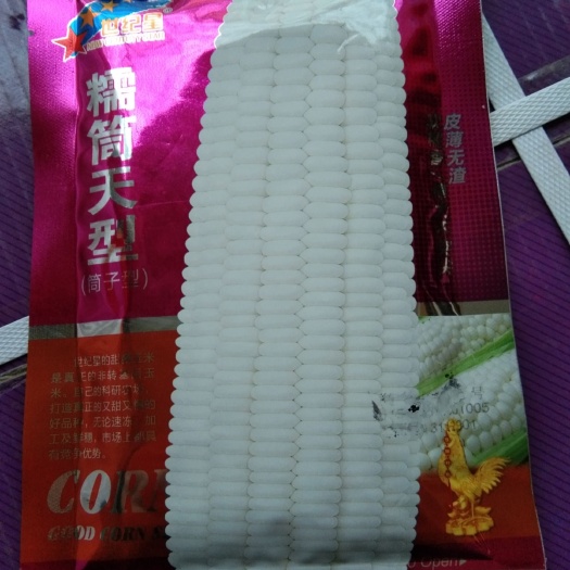 夏邑县 糯筒天型糯玉米种子 特高产，棒大不突尖 香糯甜(超优品种)