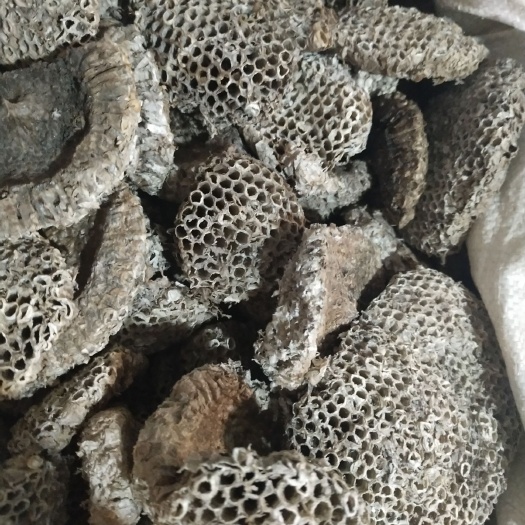 安国市 蜂房，软蜂房，树蜂房，中药材蜂窝